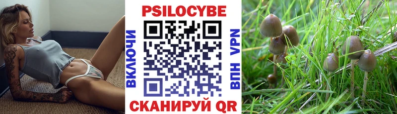 ссылка на мегу вход  Чулым  Псилоцибиновые грибы MAGIC MUSHROOMS  даркнет состав  магазин  наркотиков 